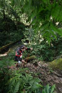 BIB: , 5017
                            <button type="button" onclick="openModal(16028613)" class="btn btn-primary btn-sm float-right btn-popup" data-toggle="modal" data-target=".modal-high-quality">
                        <i class="fas fa-shopping-cart"></i> Add to Cart
                    </button>
                                            <button type="button" onclick="isThisMe(16028613, true)" class="btn btn-success btn-sm float-right btn-popup btn-isme hidden" data-toggle="tooltip" data-placement="bottom" title="นี่คือรูปของคุณใช่ไหม คลิกที่นี่เพื่อเอาเข้าอัลบั้ม">
                        <i class="fas fa-plus"></i> Add to album
                    </button>
                    <button type="button" onclick="isThisMe(16028613, false)" class="btn btn-warning btn-sm float-right btn-popup btn-isnotme hidden">
                        <i class="fas fa-ban"></i> Remove from album
                    </button>